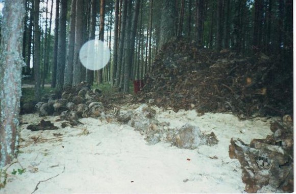 Кости расстреляных в Сандармохе. Эксгумация июнь 1997 года